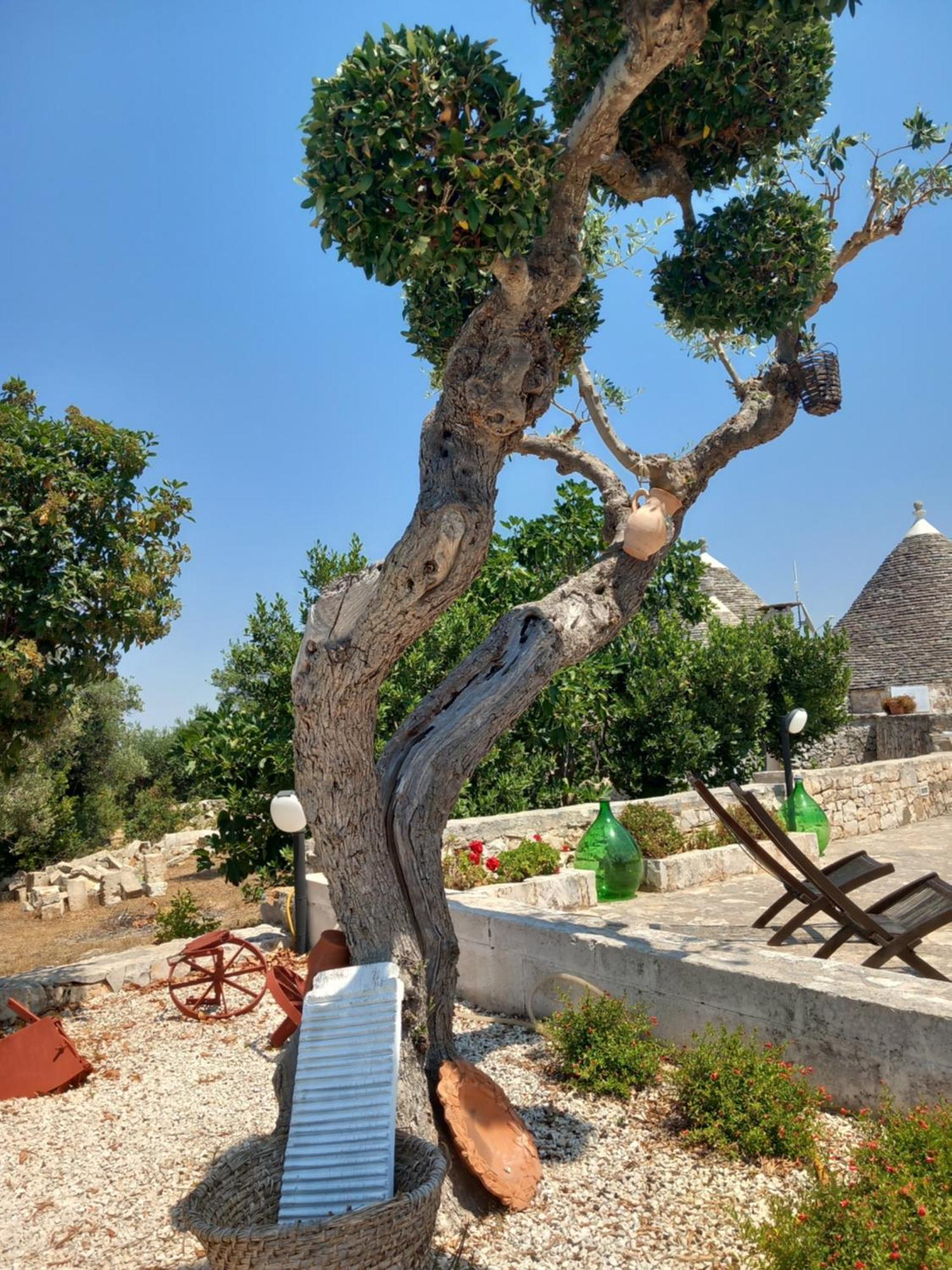 Гостевой дом Trullo Monte Del Sale Альберобелло Экстерьер фото