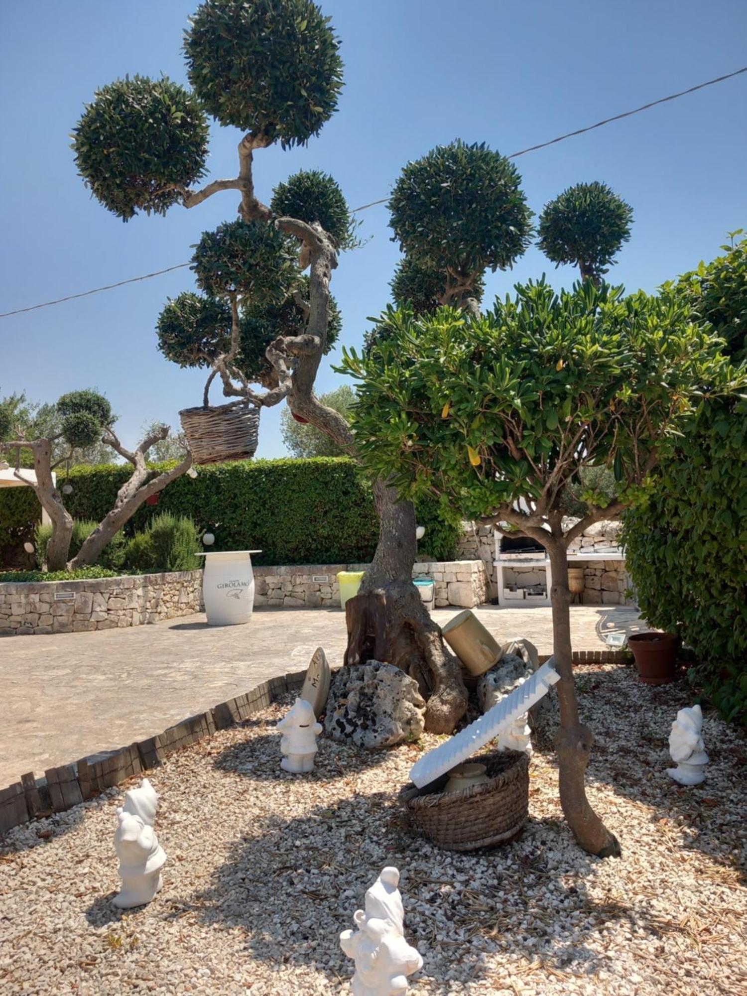 Гостевой дом Trullo Monte Del Sale Альберобелло Экстерьер фото