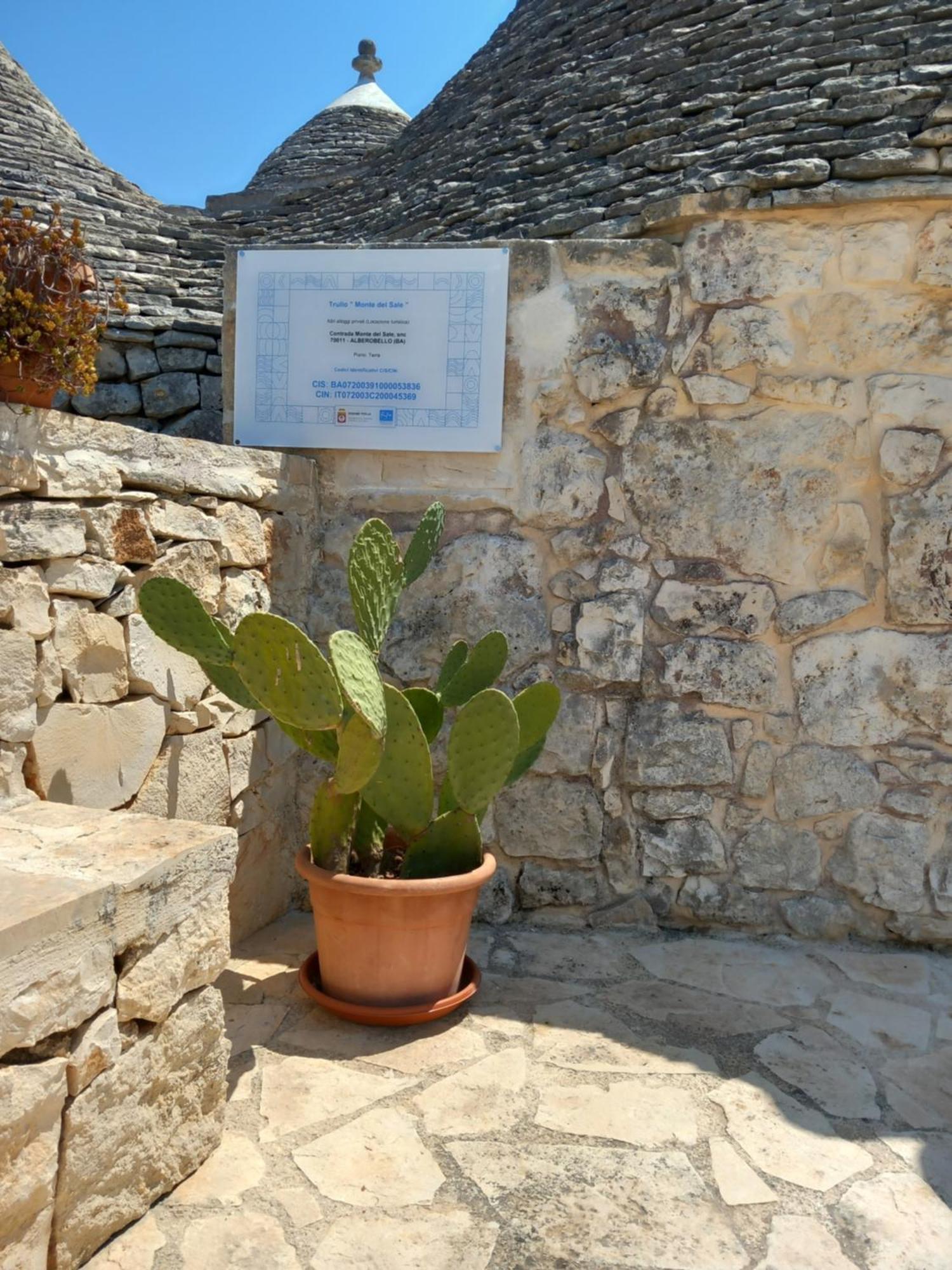 Гостевой дом Trullo Monte Del Sale Альберобелло Экстерьер фото