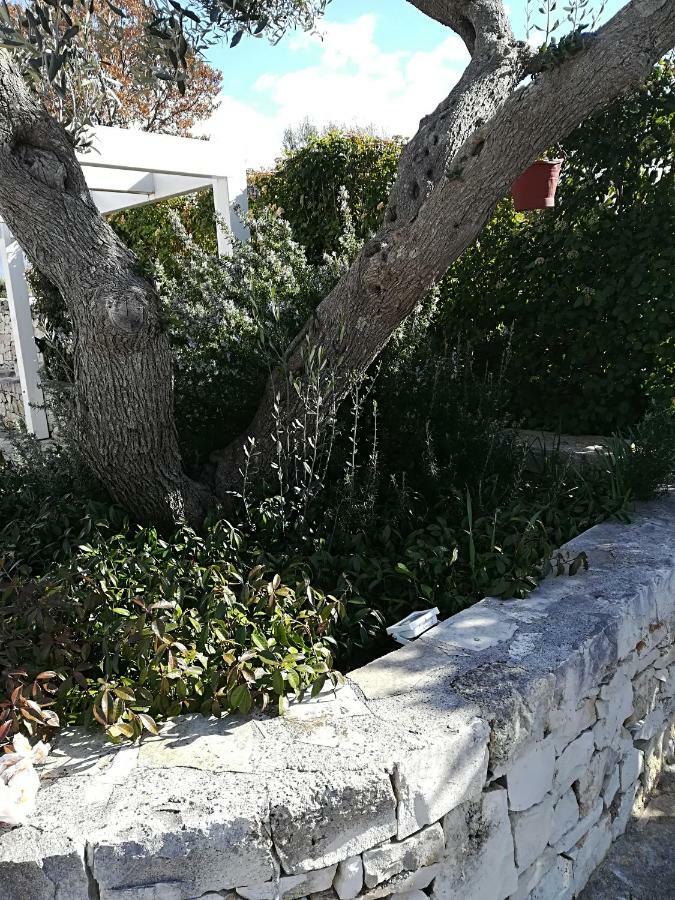 Гостевой дом Trullo Monte Del Sale Альберобелло Экстерьер фото