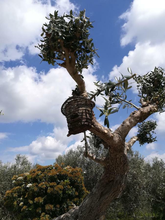 Гостевой дом Trullo Monte Del Sale Альберобелло Экстерьер фото